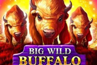 Big Wild Buffalo