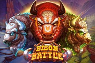 Bison Battle